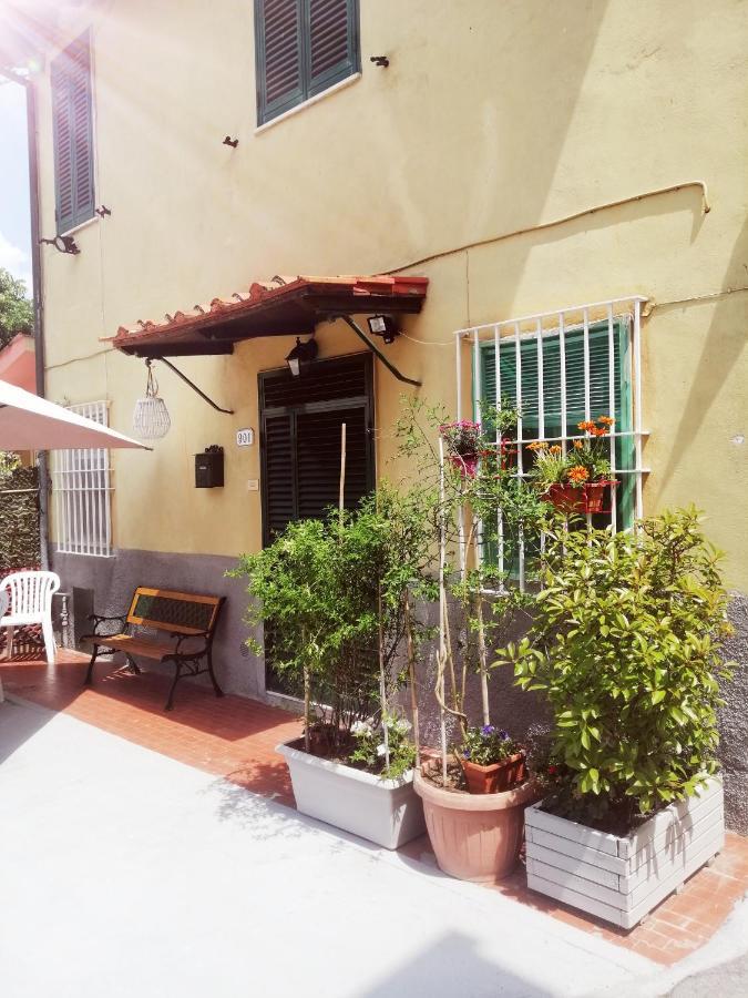 Pierina Apartment Lucca Exterior photo